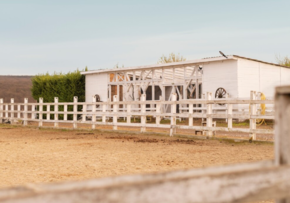 Horse barn interior with spacious stalls ventilation and Dutch doors for horse safety and comfort